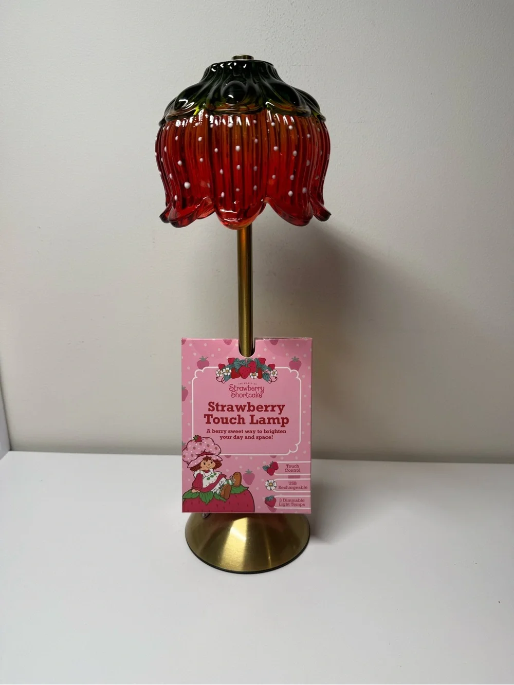Strawberry Shortcake Touch Lamp USB Rechargeable Glass Dimmable Collectable